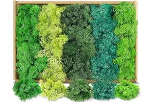NAAPESI Moos für Deko und Bastelprojekte, Konservierte Naturmoose in 5 Farben,Moos zum Basteln für Moosbilder, Wald-Deko, Modellbau und Weihnachtsdeko,Moos zum Basteln-Langlebig (200g,Box) (Grün)