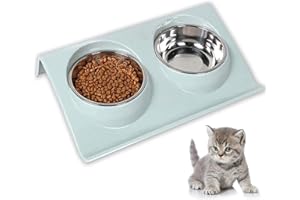 JIASHA Cuenco del Gato,Cuenco Doble para Gatos,Comedero Gato 15° Inclinable Tazón Antideslizante Gato Cuenco,Comederos Perros Gatos para Gato y Perrito Cuenco para Gatos de Acero Inoxidable (Verde)