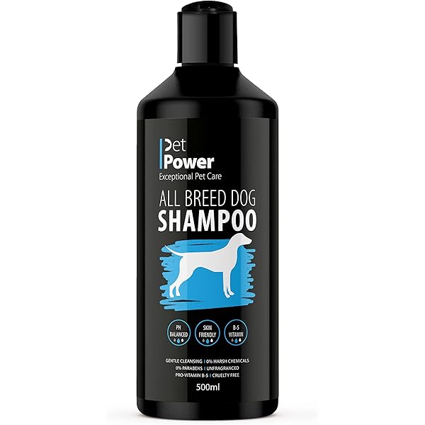 Fuller Brush 2-in-1 Haustierbürste – Mit Stahlstiften & Nylonborsten, Für Hunde & Katzen