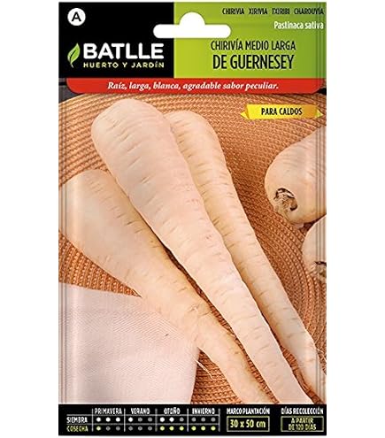 Semi Di Salsify Geant Noire De Russie - 600 Semi | Radice Nera Da Cucina | Coltivazione Facile - Foto 12