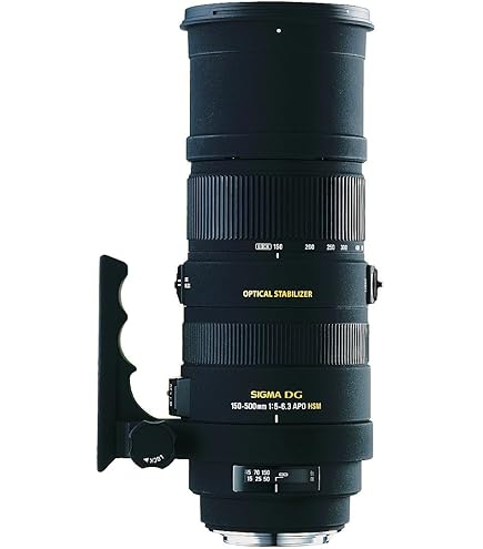 Tamron SP AF 200 - 500mm F/5 - 6.3 Di LD Obiettivo Tele-zoom per