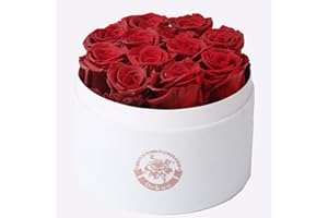 Dekun Rosen-Box Rund Ewige Rosenbox- 12 konservierte Rosen Rot in Box haltbar 1-3 Jahre - Geschenke für Mutter Freundin Ehefrau Oma; Geburtstag Valentinstag Ewige Blume (Weiße Box & Rote Rosen)