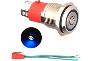GUUZI 220 V / 15A Interruptor de Botón de Enclavamiento NO, Luz LED Azul Impermeable Iluminada 19mm Botón de Encendido de Metal con Cable de Enchufe