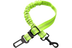 BAGUUARAY Ceinture de Sécurité pour Chien Voiture avec Absorption des Chocs Durable Réglable Elastique Fils Réfléchissants et Mousqueton Solide pour Tous Les Chiens et Chats Animaux (Vert)