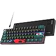Ussixchare 60 Percent Gaming Keyboard 61 Keys Mechanical Keyboard Rainbow Backlit Ultra Compact Wird Keyboard with Red Switches for Win Ps4/5 Xbox(61 Green)