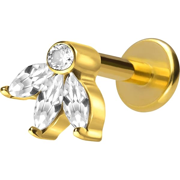 4x Titan Helix Piercings G23 - Hypoallergen Ohr Lippe Medusa Tragus 16G 1,2mm