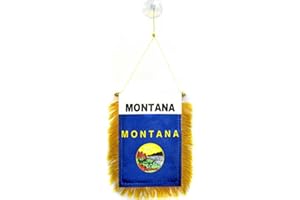AZ FLAG - Fanion Montana Pour Décoration Voiture Avec Ventouse et Franges Dorées - Mini Drapeau Etat Américain - Usa - Etats-Unis - 13x10 cm