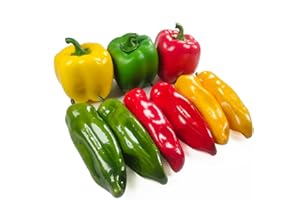 Laiiqi 9 Pcs Artificial Bell Pepper Fake Chili Pepper Lifelike Fake Vegetable Colorful Pepper for Home Kitchen Decoration Props Artificial Mixed Pepper Set