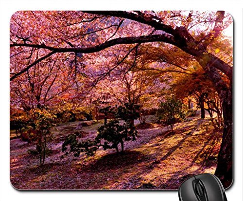 Preisvergleich Produktbild Spring Park Mauspad, Mousepad (Freizeitparks Maus Pad)