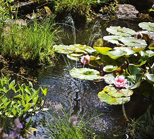 Solar Teichfilterset Starter 300 l/h Förderleistung 8 W Solarmodul + Akku 6V/3,2 Ah + LED Beleuchtung Komplettset bis 500l Gartenteich 101068 - 8