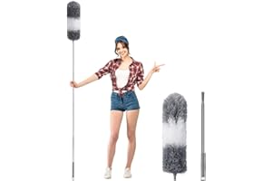 MAOXINTEK Plumeau Poussière, Plumeau Télescopique Microfibre Brosse avec Poignée en Extensible Acier Inoxydable 250cm Grand, Lavable Duster pour Éliminer la Poussière Toile d'Araignées