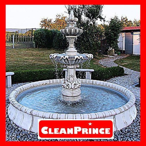 CleanPrince Brunnenrein Brunnenreiniger 5 Liter Algen Wasserklärung Schlamm reinigen Reiniger Brunnen Springbrunnen Gartenbrunnen Parkanlage Brunnenanlagen klären Brunnenklar Brunnenfresh Brunnenreiniger Brunnenreinigung - 2