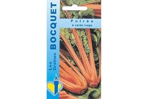 Sachet de graines de Poirée à carde rouge - 4 g - légume tige - LES GRAINES BOCQUET