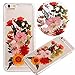 Produktbild Vandot Schutzhülle Case-Cover Ultradünn Thin Slim Light Ultradünn für Apple iPhone 6 6S 4.7 Zoll Natur Echte Blumen gedrückt Handmade Flowers gepresstes Blumen Immobilien-Blumen Getrocknete Coquille Tasche TPU Silikon Weich Hull Shell Schutzhülle – Chrysanthemum
