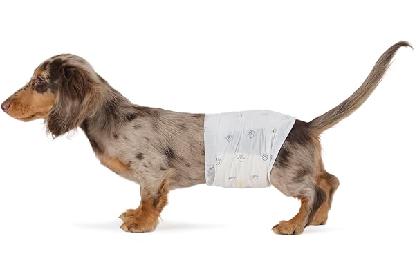 Amazon Basics Pañales Desechables para Perros Macho, S, Paquete de 50, Color Blanco