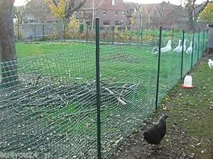 30m² MASCHENGEWEBE 0,6m x 50m Kunststoffzaun Gartenzaun Geflügelzaun