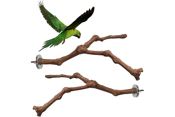 Ockyunoo 2 Pièces Perroquet Perchoir Bois, Perchoirs Bois Perroquet, Jouet à Suspendre Perroquet, Oiseaux Perchoirs Naturels, Perchoirs en Bois Naturel, pour Cockatiels Conures Aras