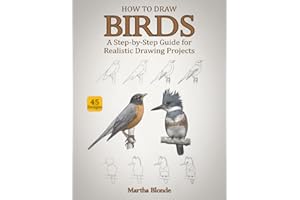 How to Draw Birds: A Step-by-Step Guide for Realistic Drawing Projects