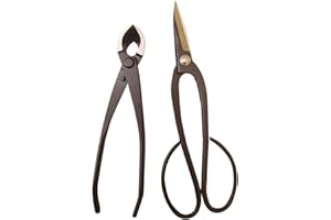 Genki-Bonsai Bonsaiwerkzeugset mit 2 Profi Werkzeugen in schwarz (Bonsaischere mittelbreit, Konkavzange 170mm)