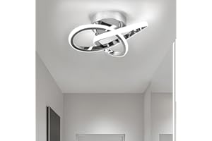 ZYDTRIP LED Ceiling Light, 22W Ceiling Light Fitting 6000K Cool White Silver Ceiling Light Fixture, Small Ceiling Lamp for Aisle, Entrance, Hallway, Bedroom, Kitchen, Office