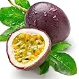 Cloud Farm Exotic Passion fruit Live Plant[CF12]