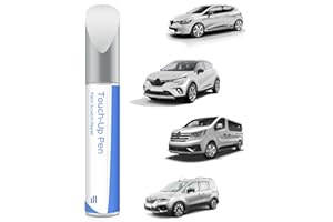 PARTS4EV 389 Blanc Glacier/Arktisweiß - Pintura de retoque para Renault Coincidencia exacta – Reparación de arañazos y astillas