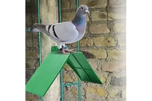 Eurobuy Taubenruhe Stehen 10 Stück Kunststoff Leichte Kleine Tauben Ruhen Stehen Anti-Rutsch-Design Tauben Ruhen Stehen Tauben Barsche Rastplatz Vogel Unterstützung Käfig Zubehör