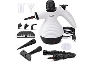 GLOIL pulitore a Vapore, vaporella pulitore Vapore casa - Multiuso con 10 Accessori per Moquette, Tende, Divani, Cucina, Cimici, Bagni e Altro - vaporetto Portatile