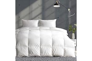 ‎APSMILE APSMILE Leichte Daunendecke 200x200cm, Dünne Gänse Daunendecke für Sommerdecke, Bio-Baumwolle 600g Kühlende Bettdecke für warmes Wetter/heiße Schläfer (200x200cm, Weiß)