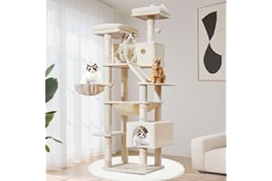 Taoqimiao Arbre a Chat Maine Coon,180cm Stable Arbres à Chat XXL avec 2 Condos Spacieux pour Chats, 8 Griffers, 2 Plateformes, Panier pour Matou, Confortable Hamac, Beige MS026LM