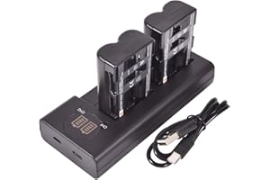 DSTE DE DSTE 2X NP-FM500H Ersatz Batterie + Duales USB-Ladegerät mit LCD-Display Kompatibel mit Sony a200,a300,a350,a700,Alpha a58, a99,DSLR-A100/B,DSLR-A100K/B,DSLR-A100W/B,DSLR-A300,DSLR-A300K Kamera