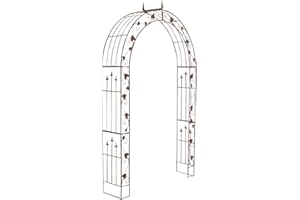 CLP Arche de Jardin en Fer Forgé Emma I Support pour Plantes Grimpante Robuste I Arcade de Jardin Solide et Durable I Treillis de Jardin Couleur, Couleur:Marron Antique