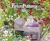 Rosenträume 2020: Großer Wandkalender. Foto-Kunstkalender Rosen-gärten. Querformat 55 x 45,5 cm by 