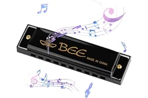 DASHUAIGE Blues Harmonica, Key of C - 10 Holes 20 Tones Professional Mouth Organ for Beginners, Adults & Kids - Ideal for Learning and Practice(Black)