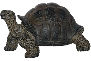 Vivid Arts Pet pal Petite Tortue avec Cage de Transport