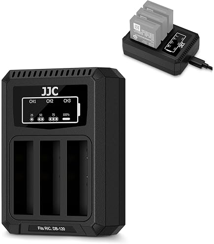 Vhbw Caricabatterie Per Ricoh DB-100 - Stazione Di Ricarica Con Spina 220V E Cavo Auto, Indicatore LED, 4,2V - 4