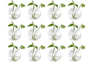 NUPTIO 12 Pièces Jardinières en Verre à Suspendre 10cm de Diamètre en Verre Rond Pot - Eau Planter des Vases Air Fleur Vase Plante Terrariums Conteneur de Plantes
