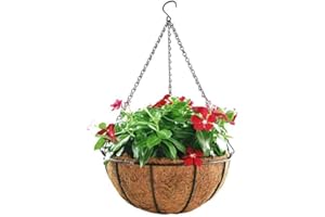 Schone Products (UK) 25cm / 10 Inch Hanging Basket with Coco Liner – Plant Flowers Holder- Indoor Outdoor Lawn Porch Decoration