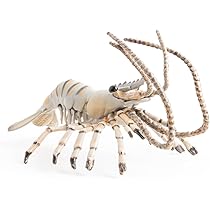 Papo - Figurines à Collectionner - Nautile - 56061 - Animaux Marins - Pour Enfants - Filles Et Garçons - A Partir De 3 Ans