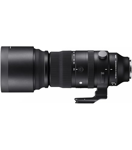 Tamron SP 150-600mm F/5-6.3 Di VC USD Telephoto Zoom Lens for