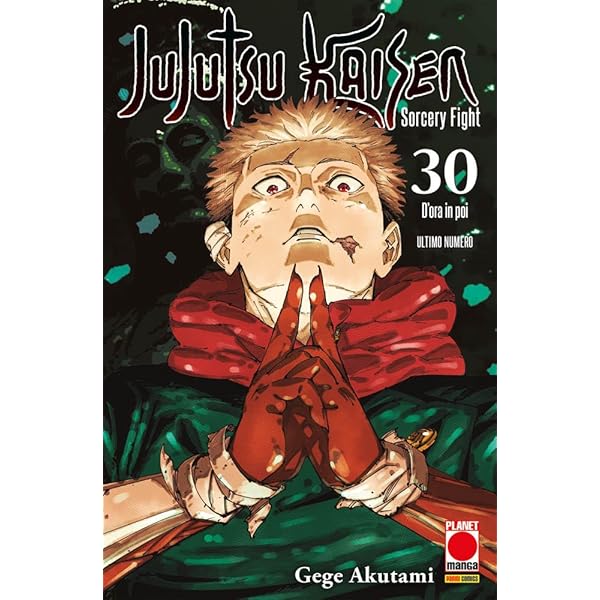 sorcery fight Vol 0–17＋Official Fanbook Jujutsu Kaisen. Sorcery Fight. Official fanbook : Akutami, Gege