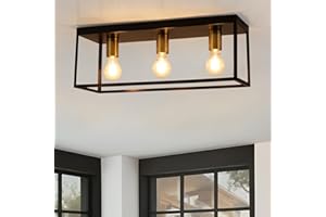FORCOSO foucasal 3 Lights Black Ceiling Lights, Flush Mount Modern Industrial Ceiling Light E27, LED Metal Cage Ceiling Light Fixture for Bedroom Living Room Kitchen Hallway Staircase max.60W - NO Bulb