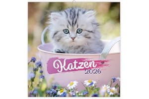 Trötsch Broschürenkalender Katzen 2026: Wandplaner