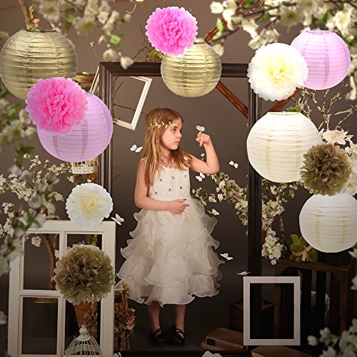 Outus Seidenpapier Pom Pom Blumen und Papierlaternen Party Dekoration, 12 Stück - 5