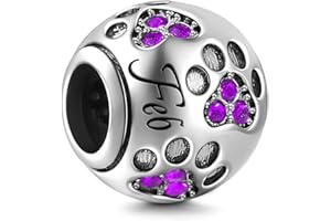 YOUFENG JEWELLERY Birthstone Charm Fit for Pandora Charms Bracelet Dog Paw Jan-Dec Birthday Crystal Charms for Bracelet and Necklace