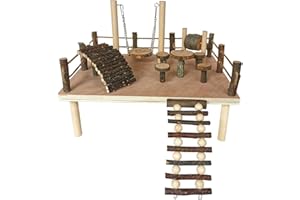 CHSEEO Hamster Spielzeug, Meerschweinchen Spielzeug, Kaninchen Zubehör, Kaninchen Spielzeug für Hamster Meerschweinchen Chinchillas Rennmäuse Zwerghamster