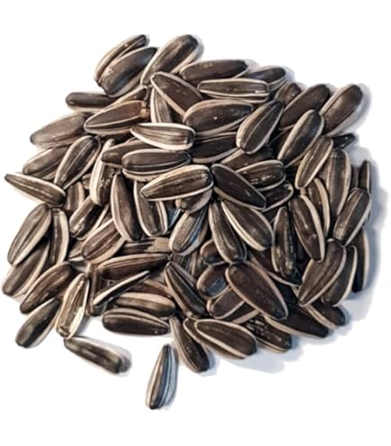 Mixtura Con Fruta Para Loros Sabor Neutro