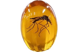 VEOJEIN Jurassic Mosquito in Bernstein, langlebig, mit Harz umhüllt, detailliertes 2D-Insekt, perfekt für Sammler und Enthusiasten, Briefbeschwerer, Antik-Effekt, Schreibtisch-Ornament