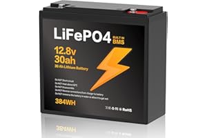 TPSOJJY 12V 30Ah LiFePO4 Batterie,Lithium Batterie 12v 30Ah mit Smart BMS Schutz 8000 Zyklen Deep Cycle Lithium Akku,384WH Lithiums Batteries 12V 30Ah Batterien für Wohnwagen,Camping,Boote,Solarpanel