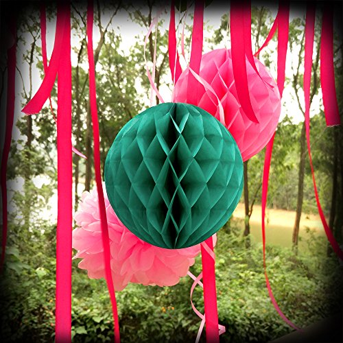 Eightnight Paper Craft Sets für DIY Party Dekorationen, Baby-Dusche, Festival einschließlich Circle Dot Girlanden, Tissue Papier Wabe Pom Pom Ball Laternen, Pom Pom Blumen, Bänder, Ballons - 9